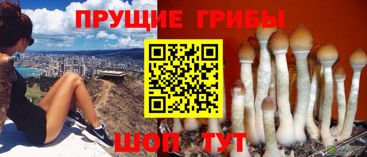 Псилоцибиновые грибы ЛСД Урюпинск