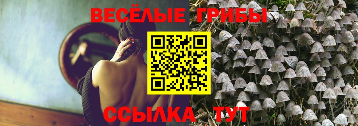Галлюциногенные грибы мухоморы  Вход с VPN  Урюпинск 