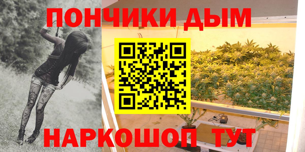 Урюпинск  Конопля ГИДРОПОН  Вход с VPN  Конопля сатива  Канабис Ganja 